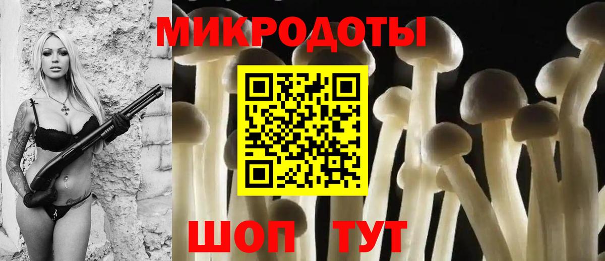 Галлюциногенные грибы Psilocybe  Вход с VPN  Псилоцибиновые грибы мицелий  Грозный 